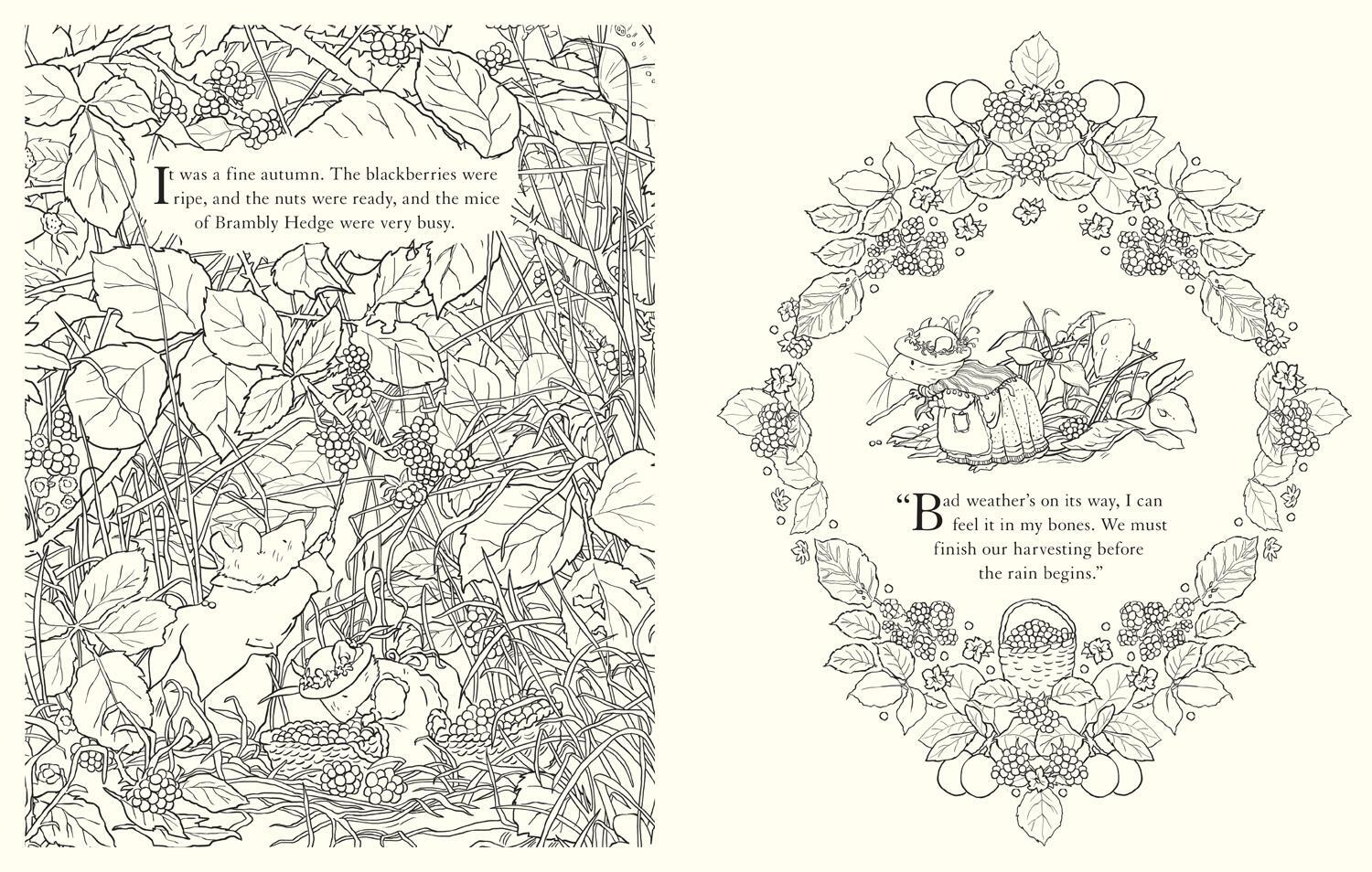 Bild: 9780008541460 | Brambly Hedge: Festive Colouring Book | Jill Barklem | Taschenbuch