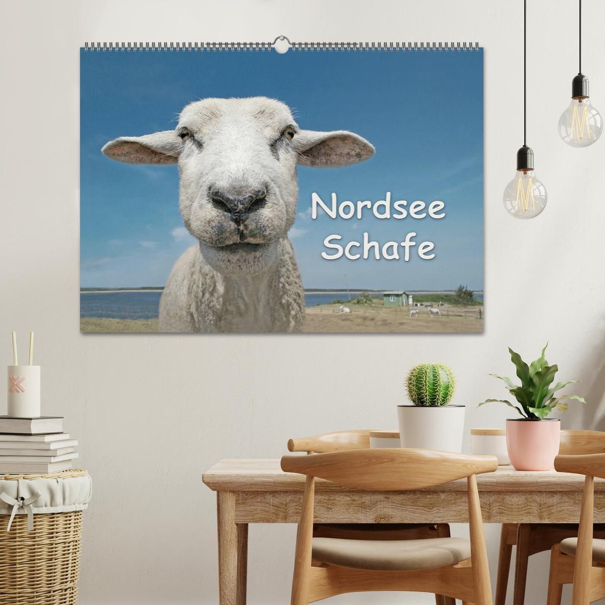 Bild: 9783435644520 | Nordsee Schafe (Wandkalender 2025 DIN A2 quer), CALVENDO...