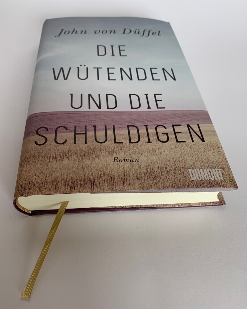 Bild: 9783832181635 | Die Wütenden und die Schuldigen | Roman | John Düffel | Buch | 320 S.