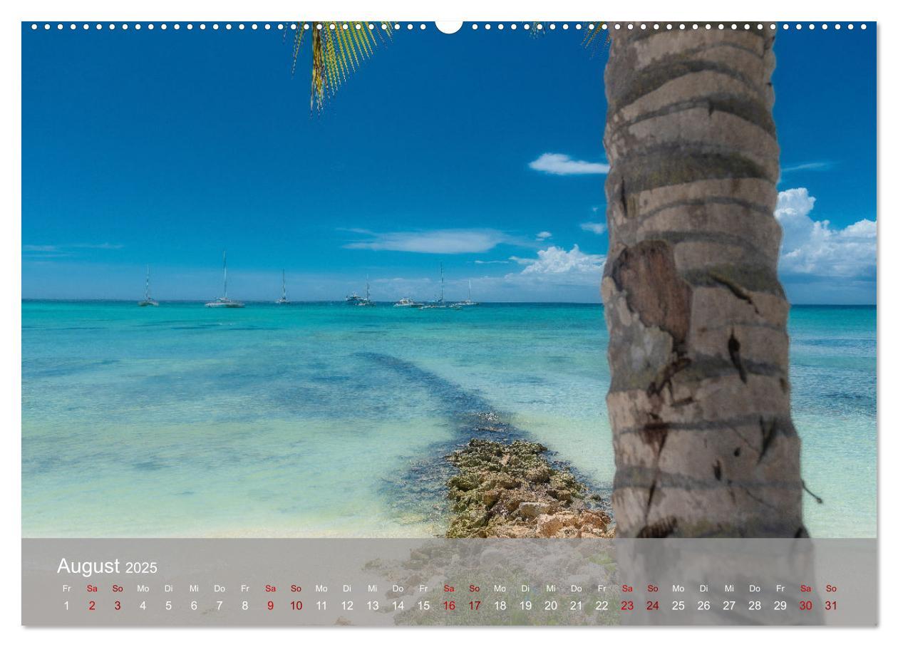 Bild: 9783435022137 | Karibik Traum Isla Saona (Wandkalender 2025 DIN A2 quer), CALVENDO...