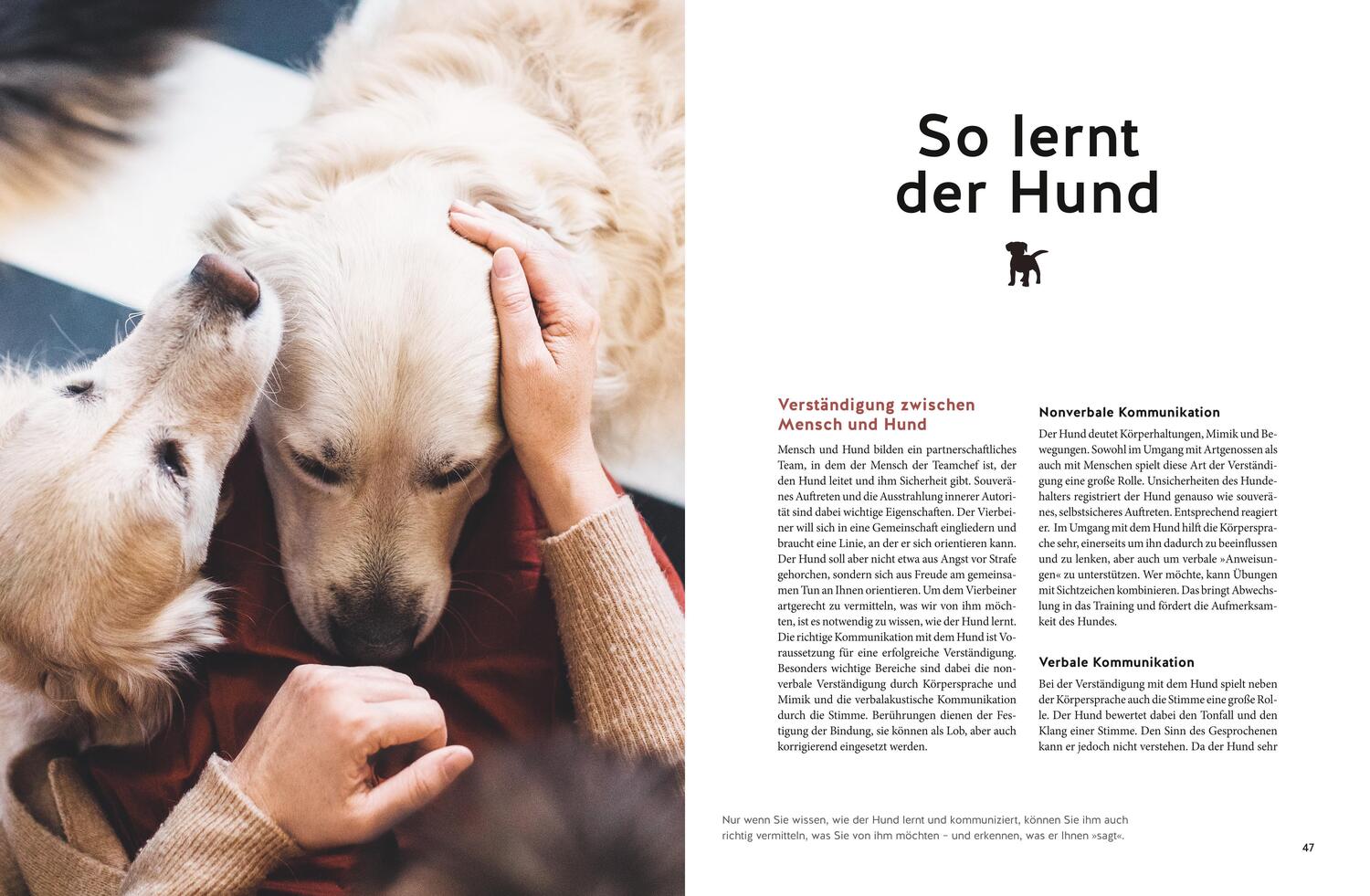 Bild: 9783833881688 | Hundeerziehung mit Spaß | Katharina Schlegl-Kofler | Buch | 160 S.