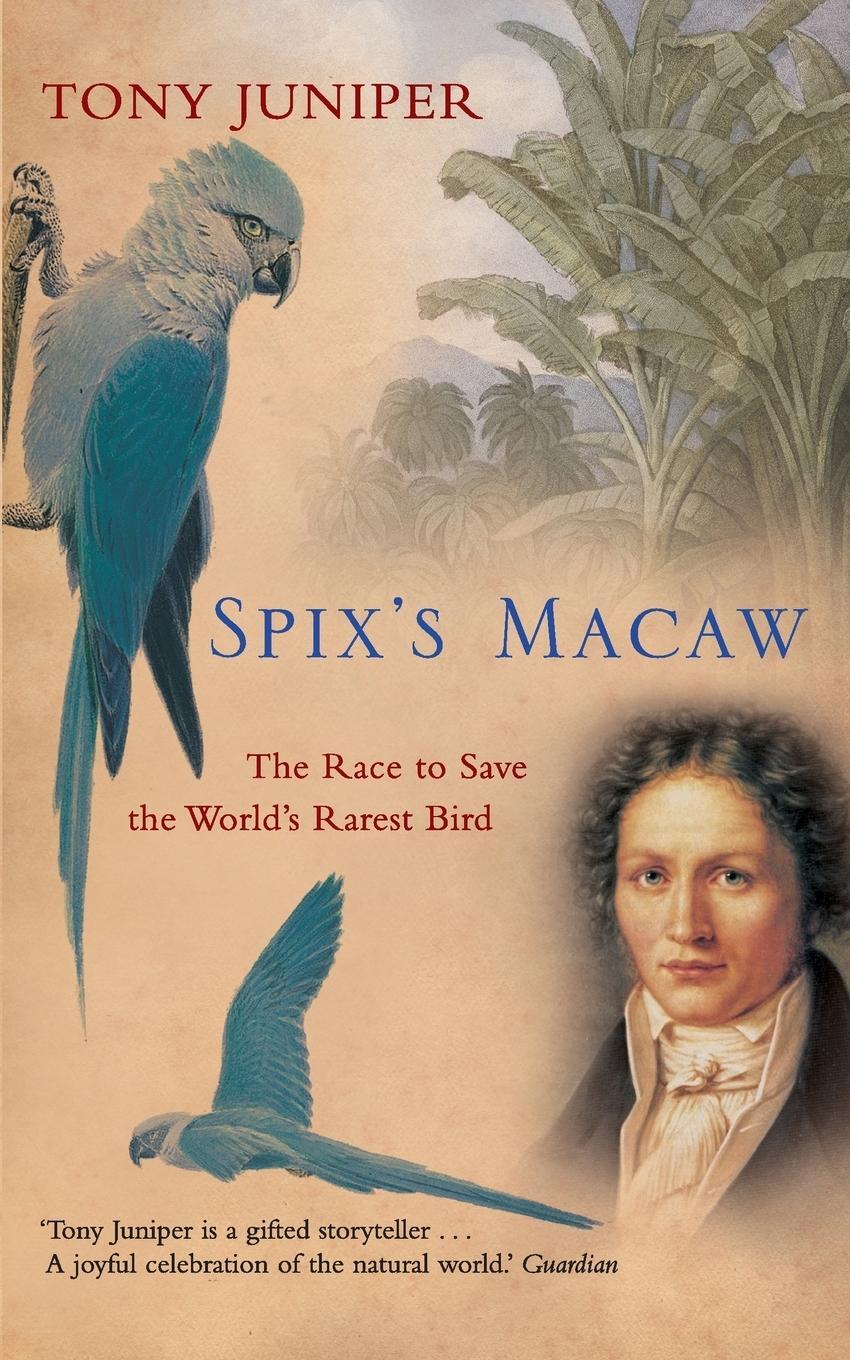 Cover: 9781841156514 | Spix's Macaw | The Race to Save the World's Rarest Bird | Tony Juniper