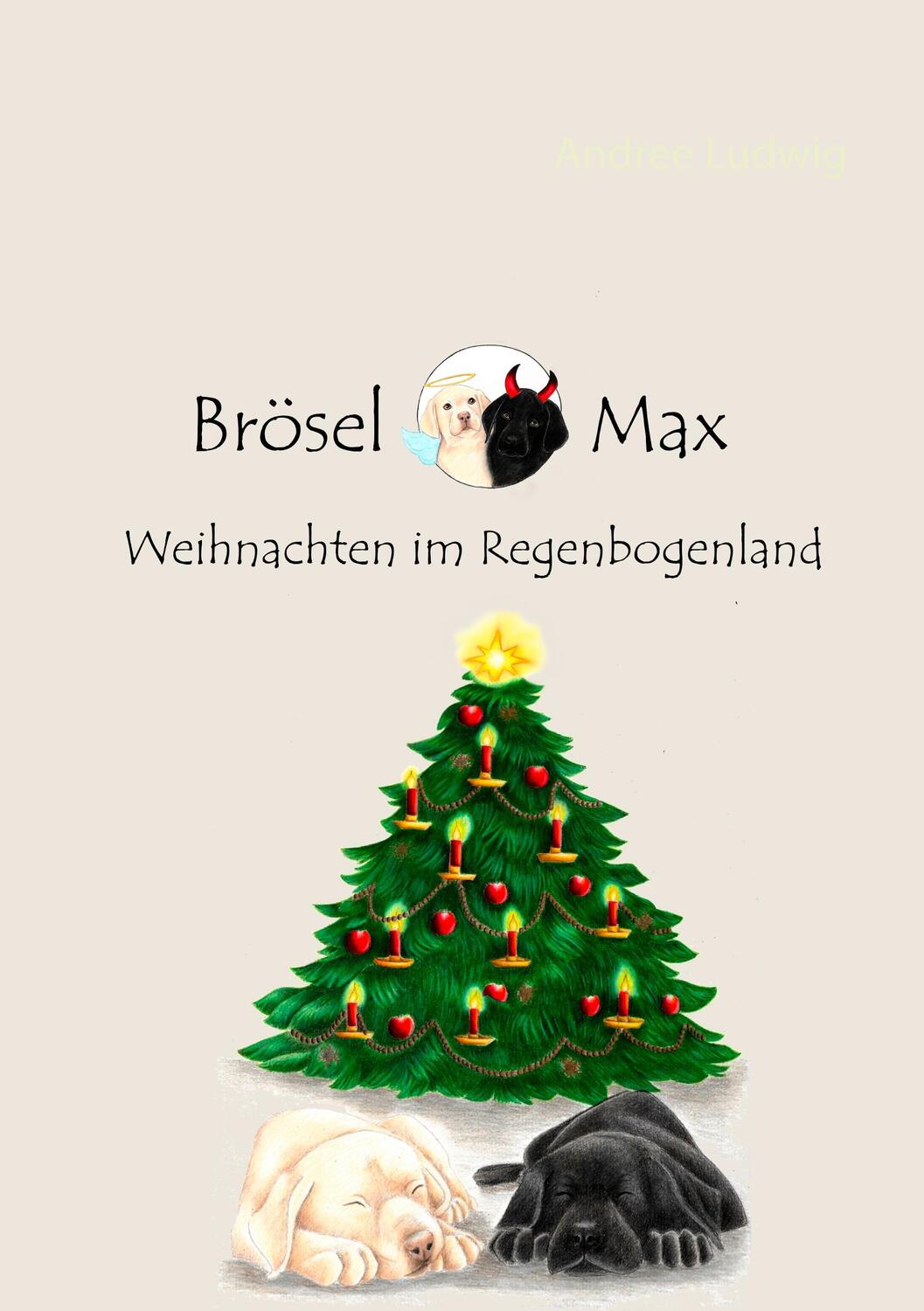 Cover: 9783748117070 | Brösel & Max | Weihnachten im Regenbogenland | Andree Ludwig | Buch