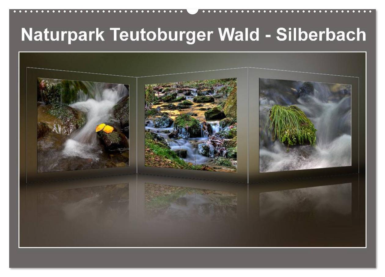 Cover: 9783435815920 | Naturpark Teutoburger Wald - Silberbach (Wandkalender 2025 DIN A2...