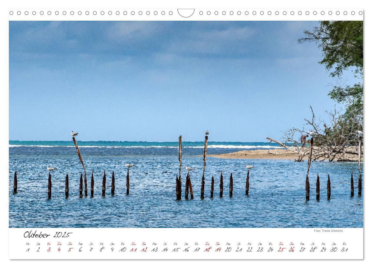 Bild: 9783435372492 | Natur pur, Costa Rica (Wandkalender 2025 DIN A3 quer), CALVENDO...