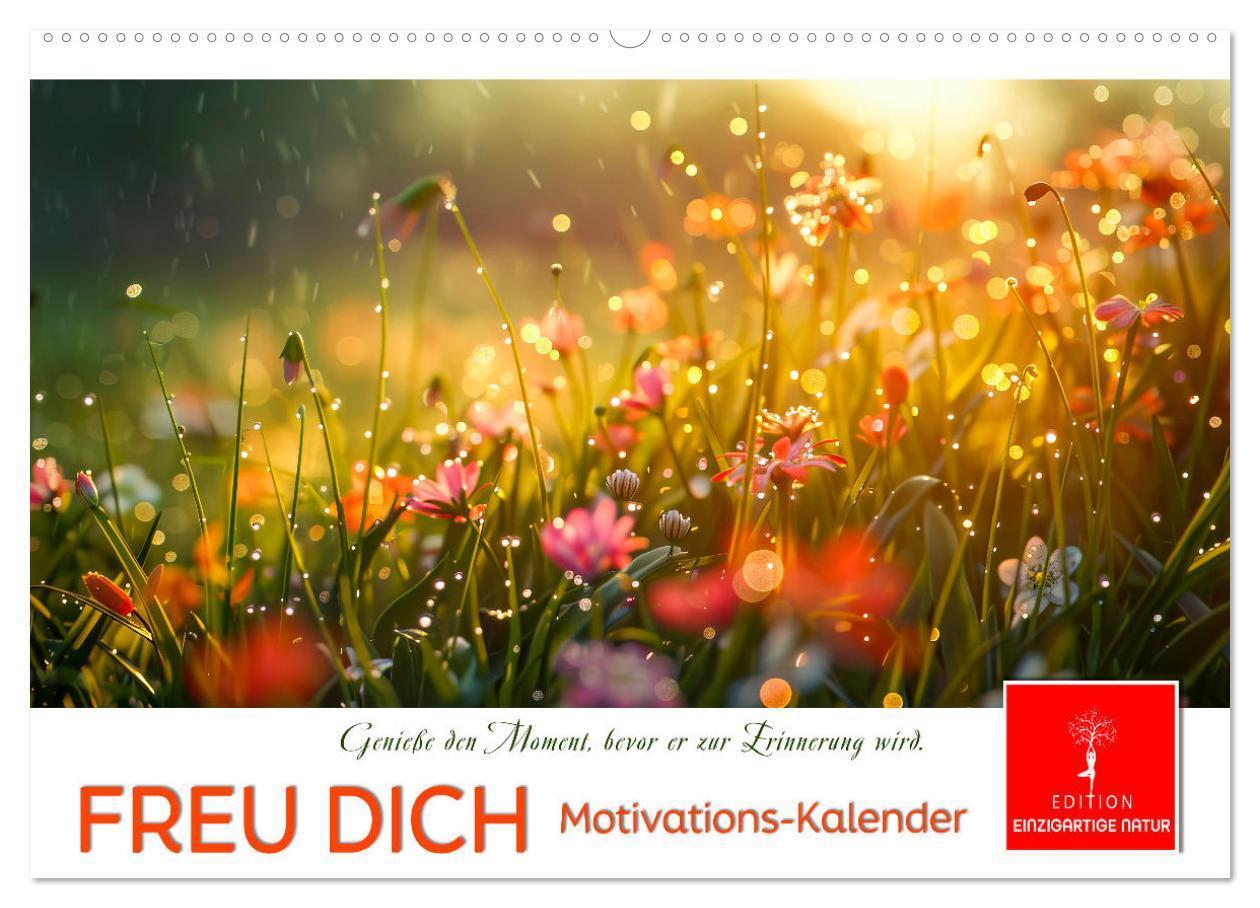 Cover: 9783383814594 | Freu Dich Motivations-Kalender (Wandkalender 2025 DIN A2 quer),...