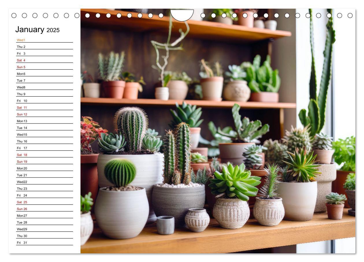 Bild: 9781325833092 | Cacti Wonderland (Wall Calendar 2025 DIN A4 landscape), CALVENDO 12...