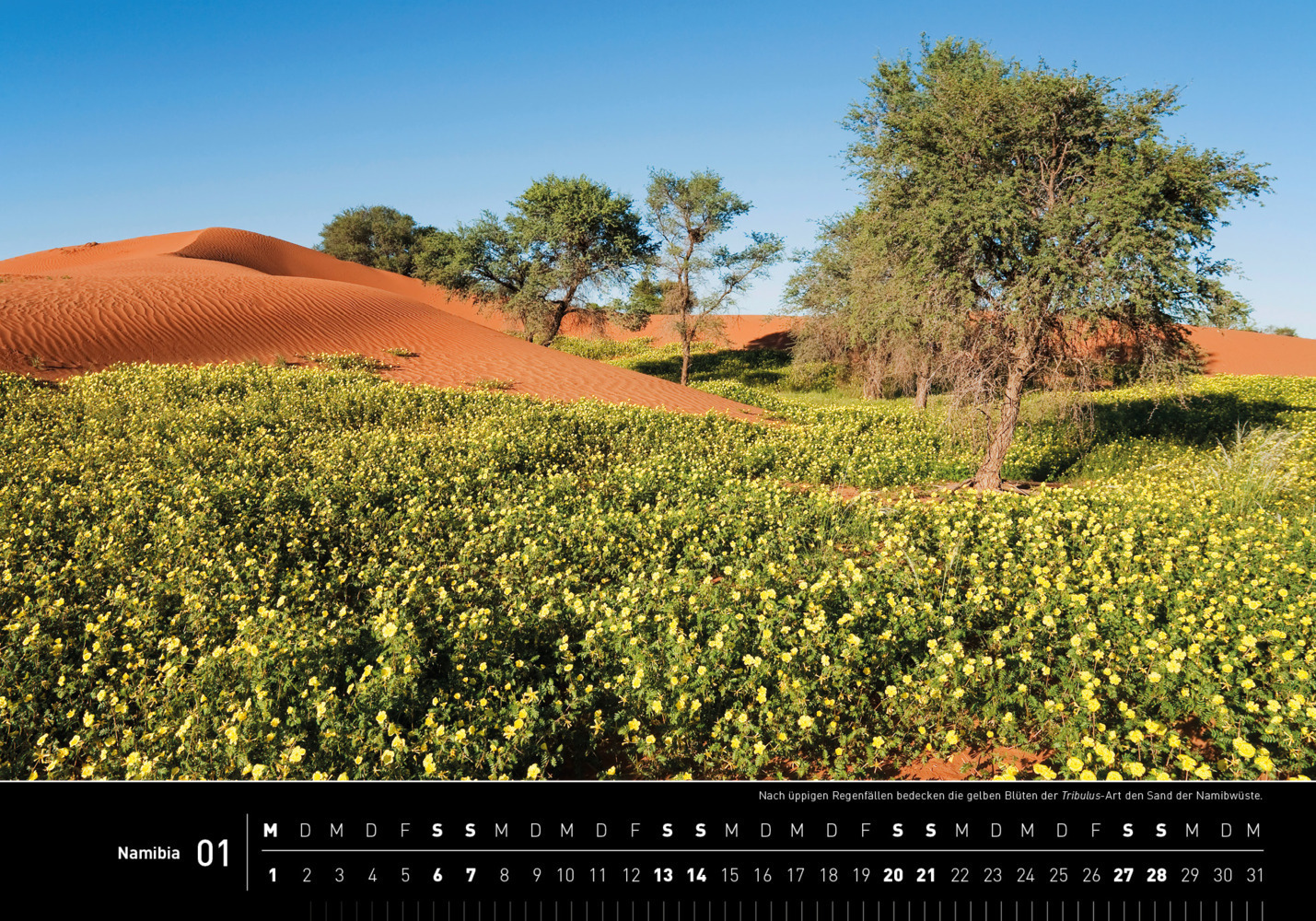Bild: 9783968553481 | 360° Namibia Premiumkalender 2024 | Thomas Dreßler | Kalender | 14 S.