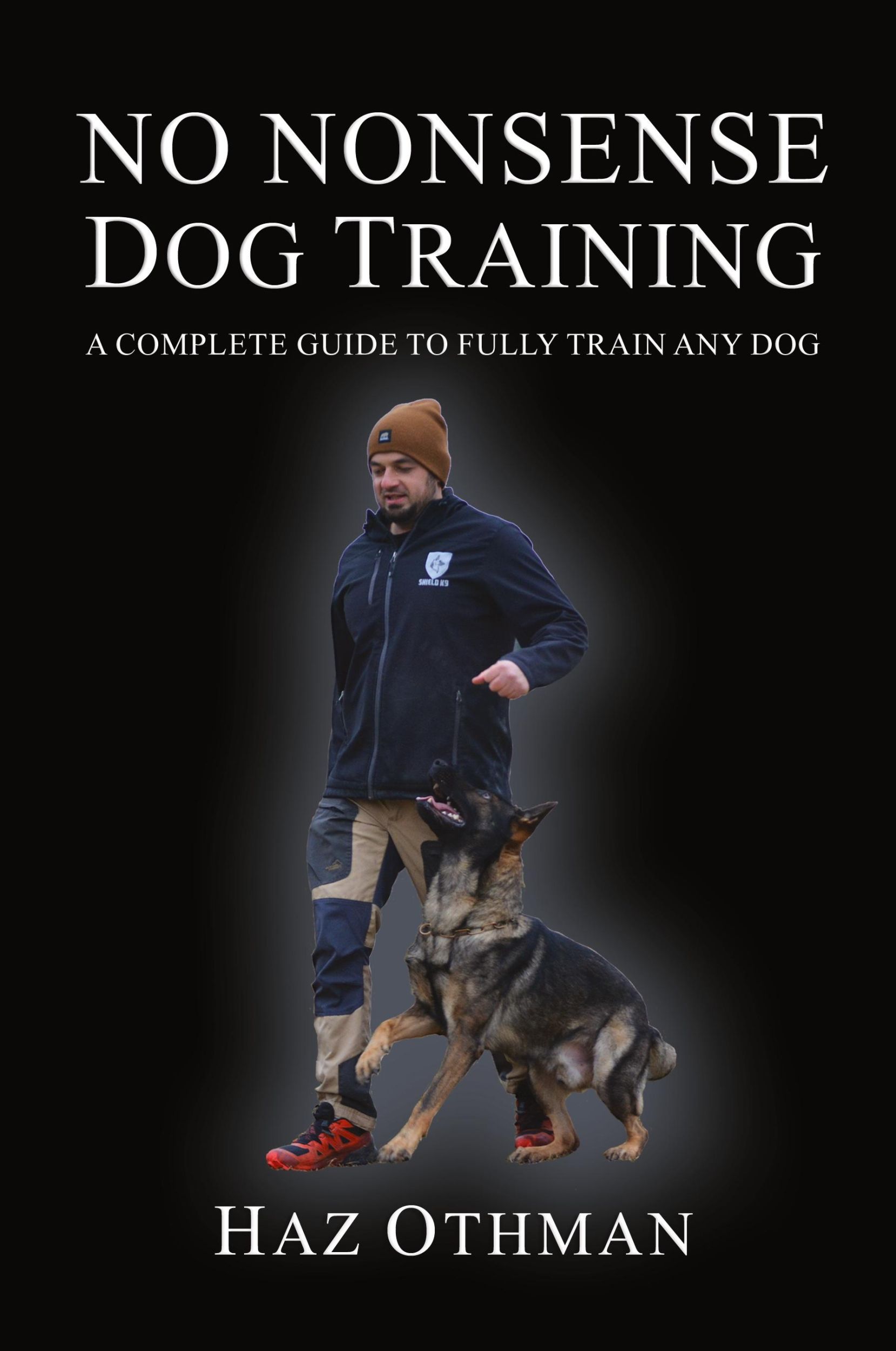 Cover: 9781447883593 | No Nonsense Dog Training | A Complete Guide to Fully Train Any Dog