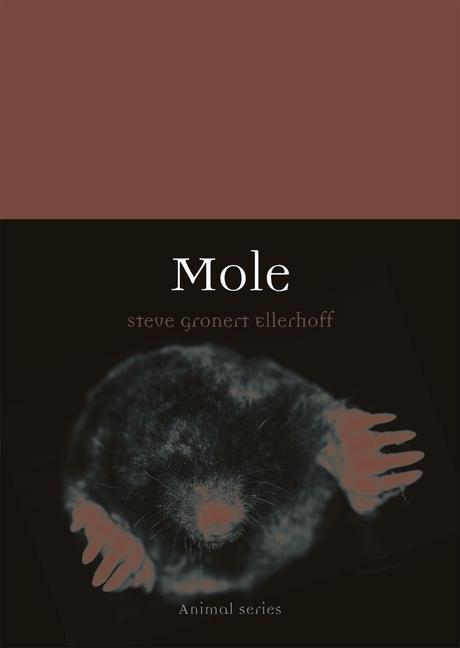 Cover: 9781789142228 | Mole | Steve Gronert Ellerhoff | Taschenbuch | Animal | Englisch