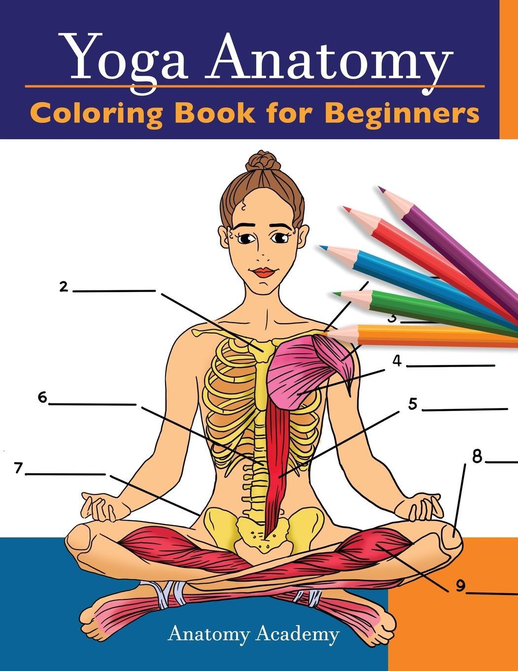 Cover: 9781914207006 | Yoga Anatomy Coloring Book for Beginners | Anatomy Academy | Buch