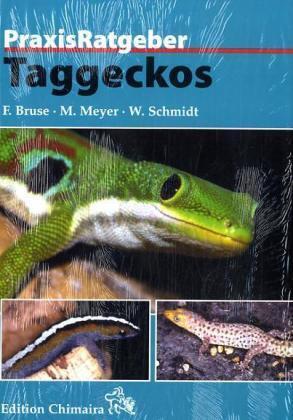 Cover: 9783930612949 | Taggeckos | Frank Bruse (u. a.) | Buch | Deutsch | 2005 | Chimaira