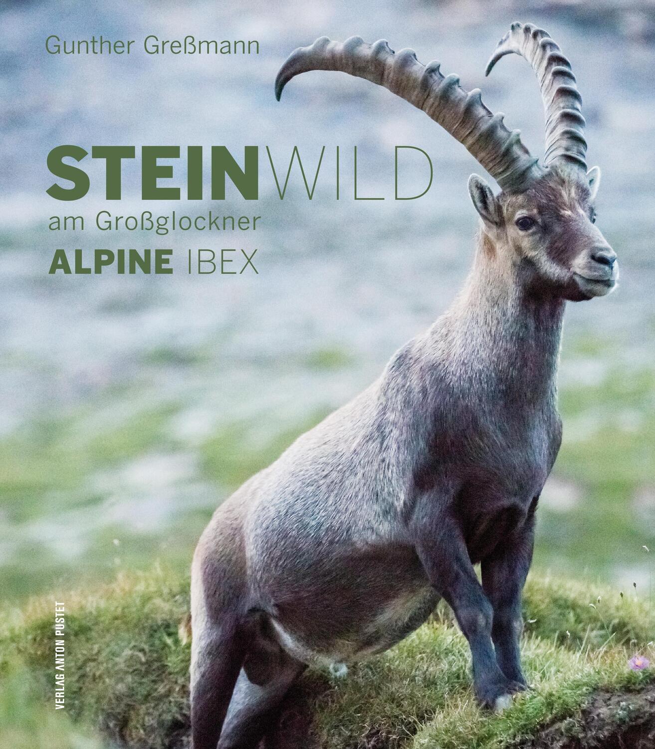 Cover: 9783702509644 | Steinwild am Großglockner | Alpine Ibex | Gunther Greßmann | Buch