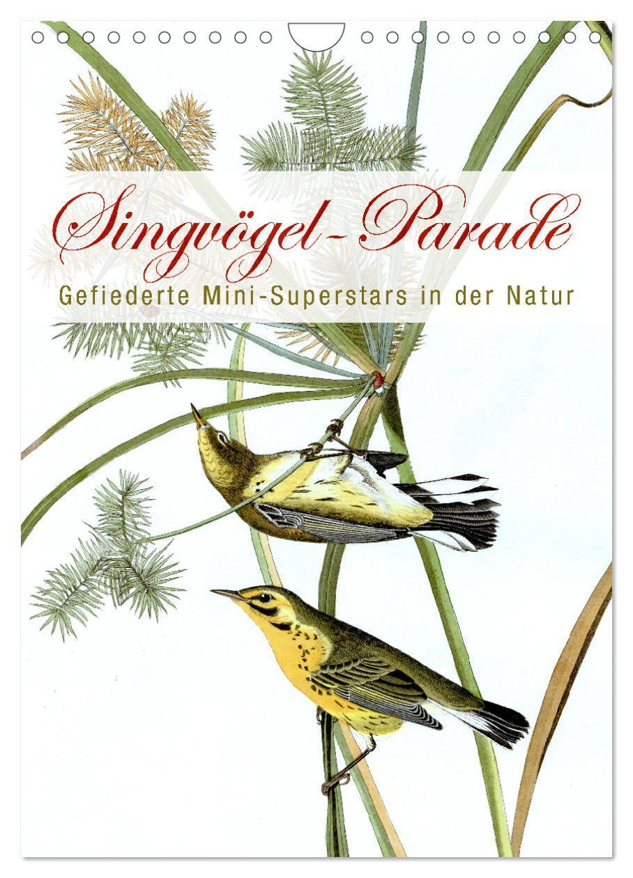 Cover: 9783383297618 | Singvögel-Parade (Wandkalender 2024 DIN A4 hoch), CALVENDO...