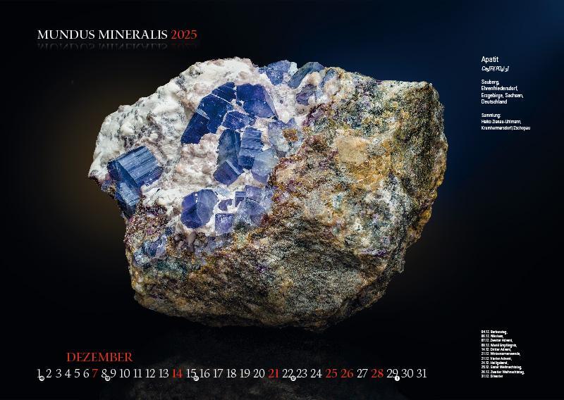 Bild: 9783957561398 | MUNDUS MINERALIS 2025 | Die Welt der Mineralien | Jörg Neubert | 2025