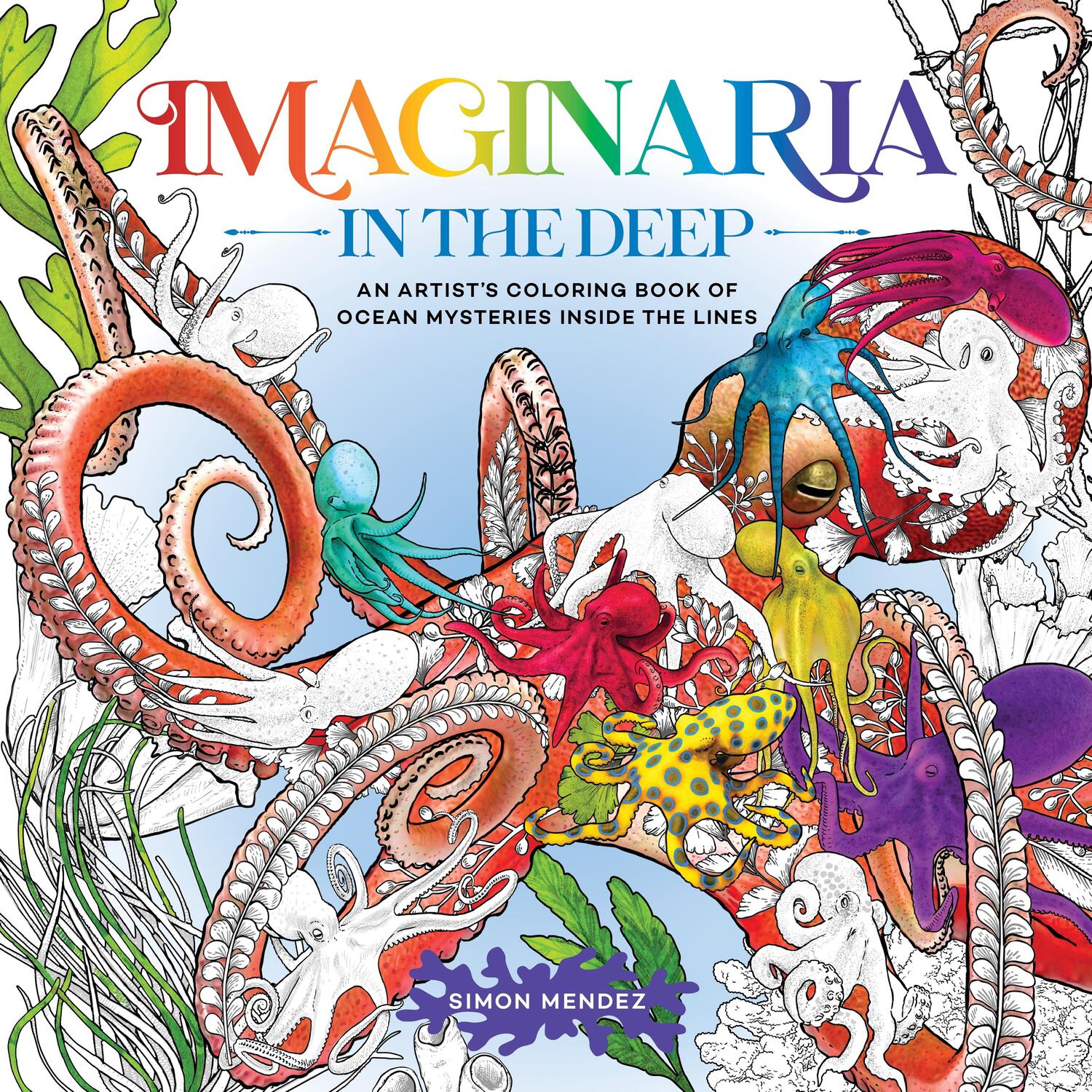 Cover: 9781250324153 | Imaginaria: In the Deep | Simon Mendez | Taschenbuch | Englisch | 2024