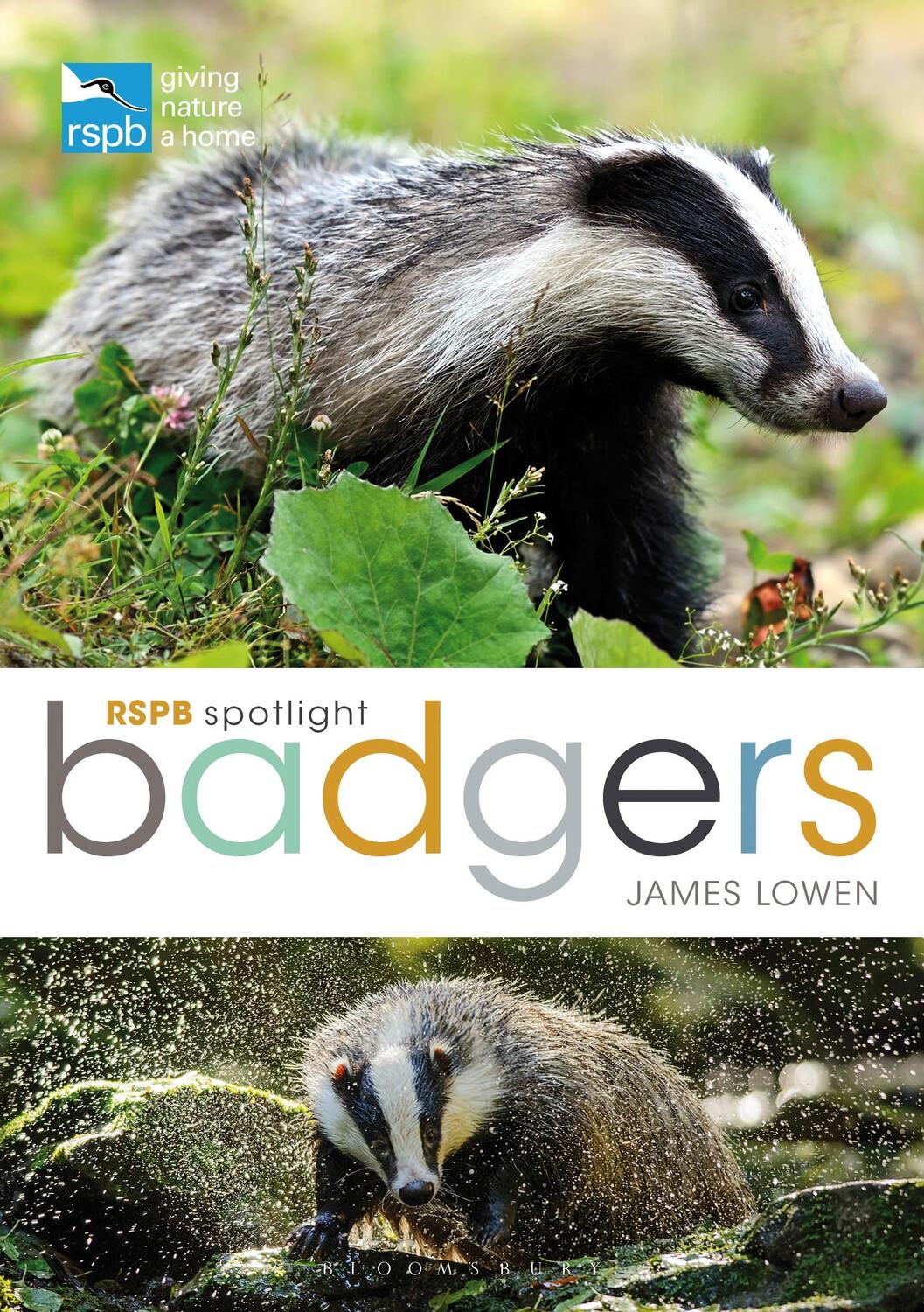 Cover: 9781472971746 | RSPB Spotlight: Badgers | James Lowen | Taschenbuch | RSPB | Englisch