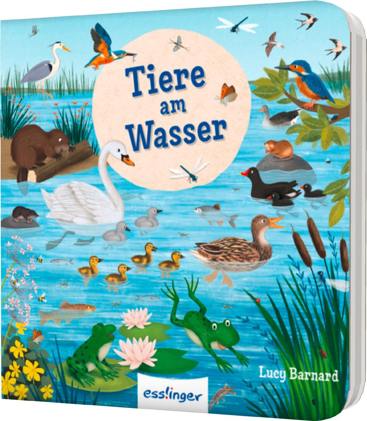 Cover: 9783480239825 | Mein erstes Natur-Wimmelbuch: Tiere am Wasser - Mini-Ausgabe | Buch