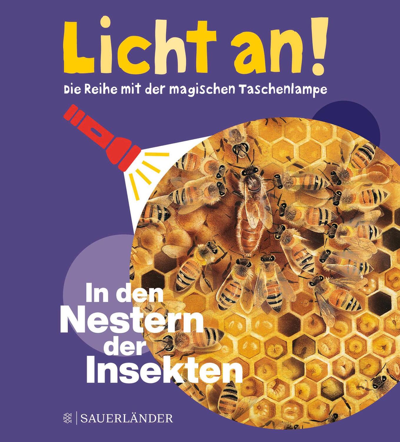 Cover: 9783737357807 | In den Nestern der Insekten | Licht an! | Claude Delafosse | Buch