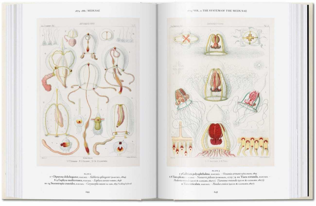 Bild: 9783836584289 | The Art and Science of Ernst Haeckel. 40th Ed. | Julia Voss (u. a.)