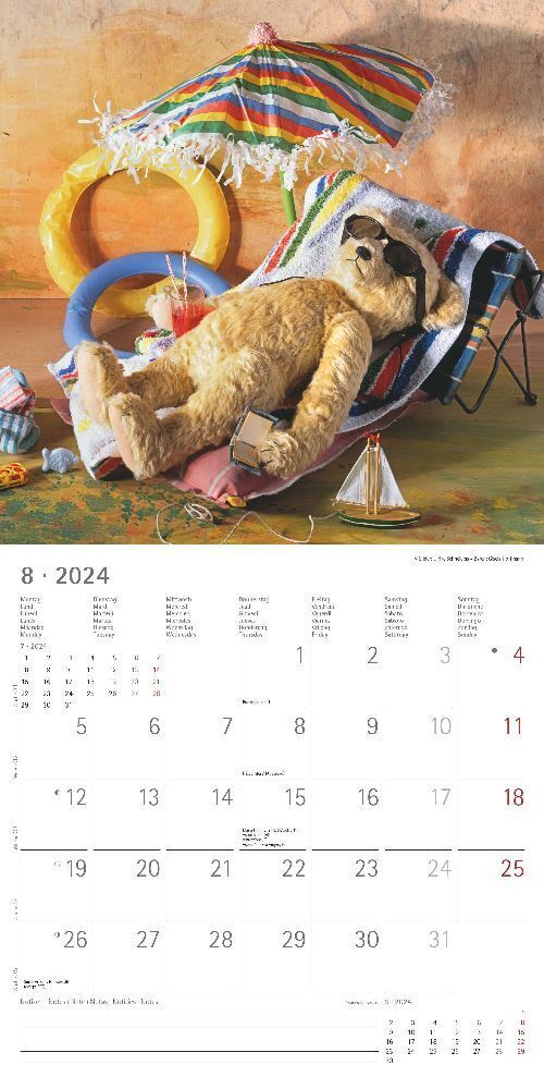 Bild: 4251732335298 | Teddy 2024 - Broschürenkalender 30x30 cm (30x60 geöffnet) -...