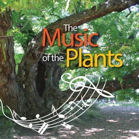 Cover: 9788890863776 | The Music of the Plants | Silvia Buffagni Esperide Ananas | Buch