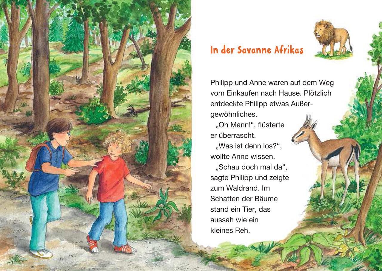 Bild: 9783785587607 | Das magische Baumhaus junior 11 - Im Reich der Löwen | Band 11 | Buch