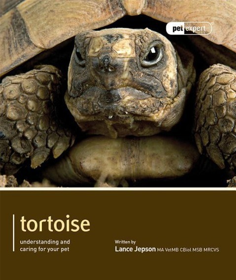 Cover: 9781907337147 | TORTOISE | Understanding and Caring for Your Pet | Lance Jepson | Buch