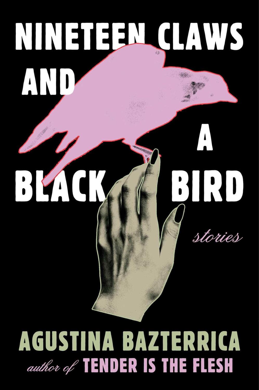 Cover: 9781668012666 | Nineteen Claws and a Black Bird | Stories | Agustina Bazterrica | Buch