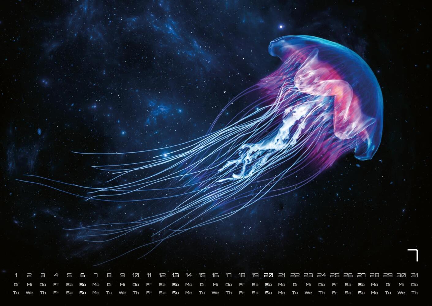 Bild: 9783986734299 | Sealife - verborgene Tiefen - 2025 - Kalender DIN A2 | GP-Fever.de