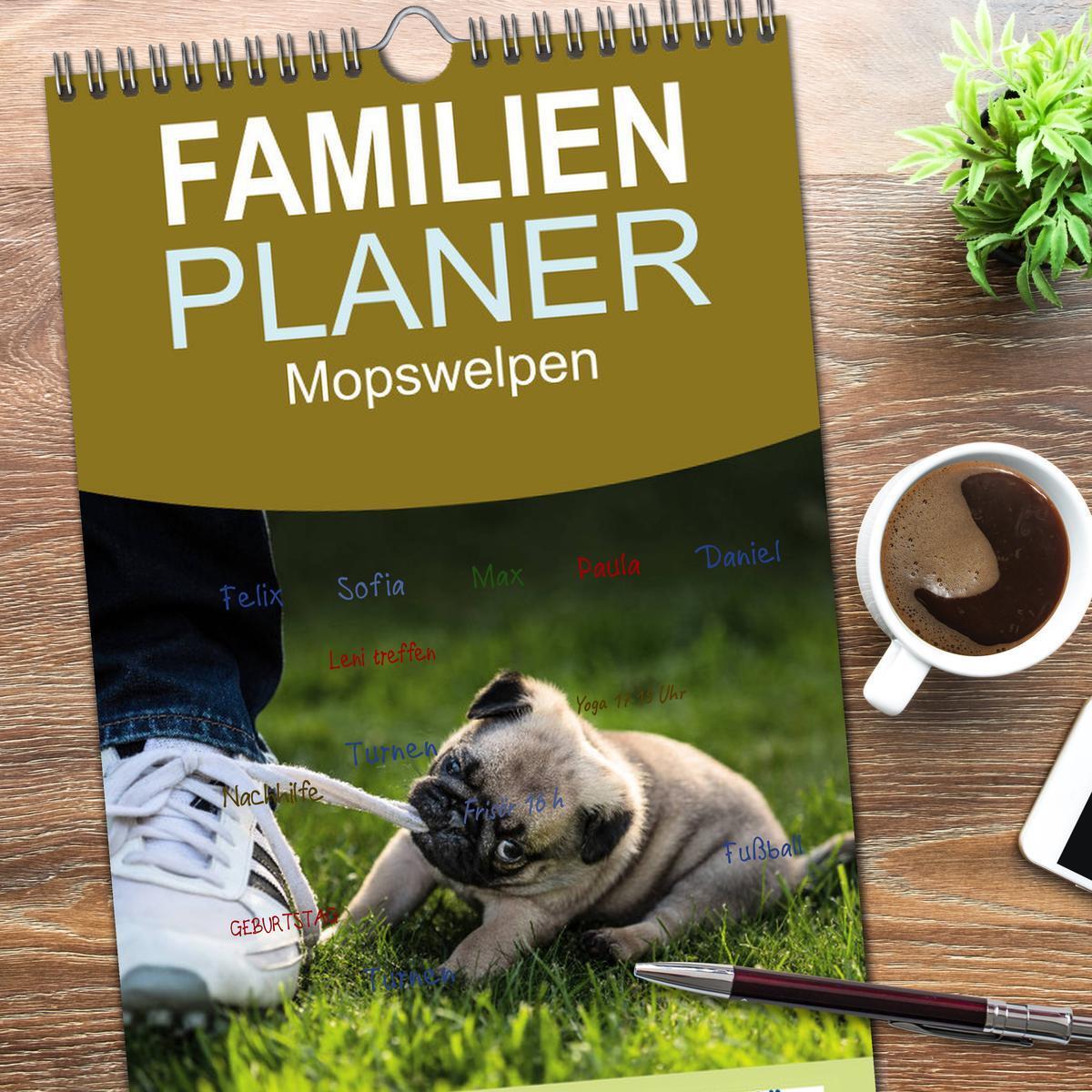 Bild: 9783457119419 | Familienplaner 2025 - Mopswelpen mit 5 Spalten (Wandkalender, 21 x...