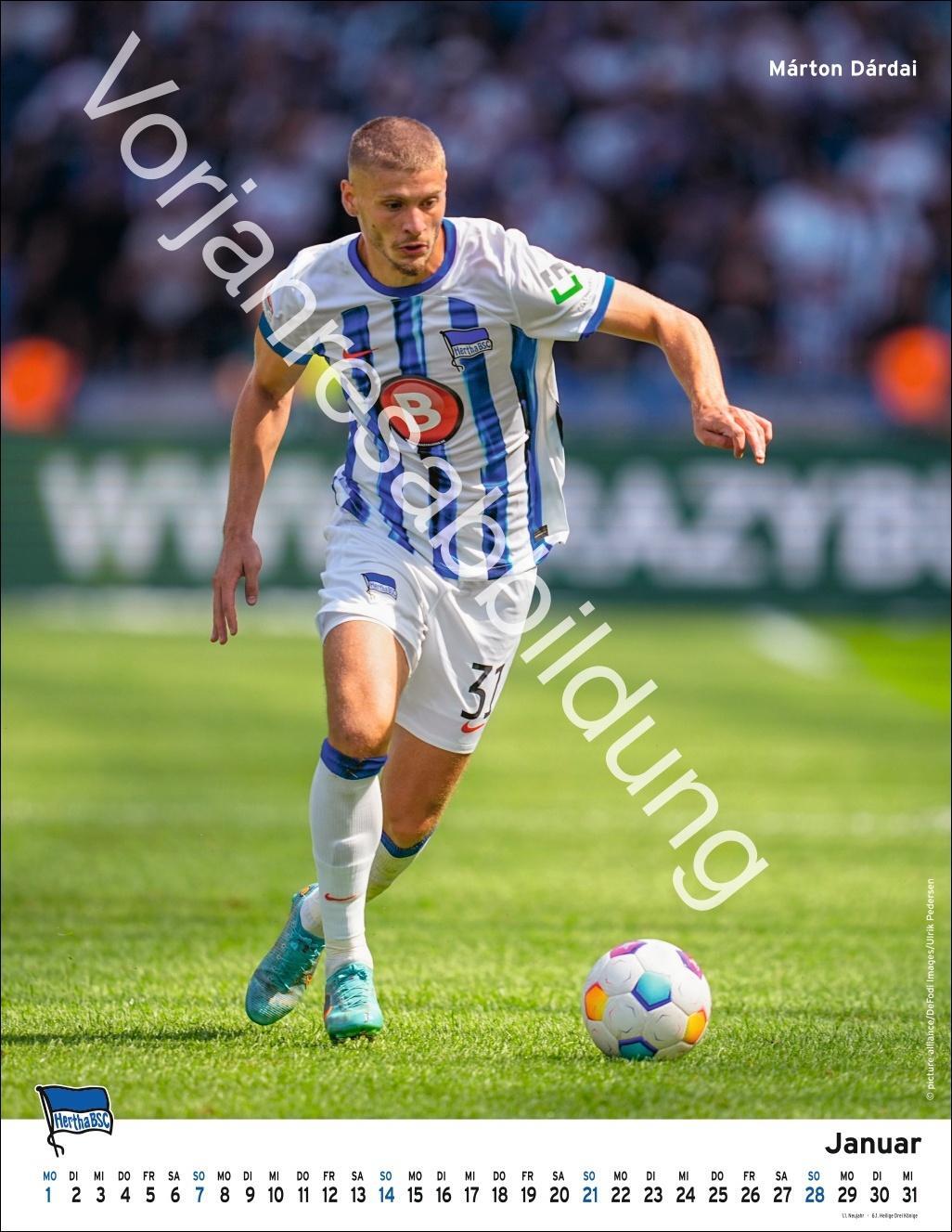 Bild: 9783756405411 | Hertha BSC Posterkalender 2025 | Heye | Kalender | Spiralbindung