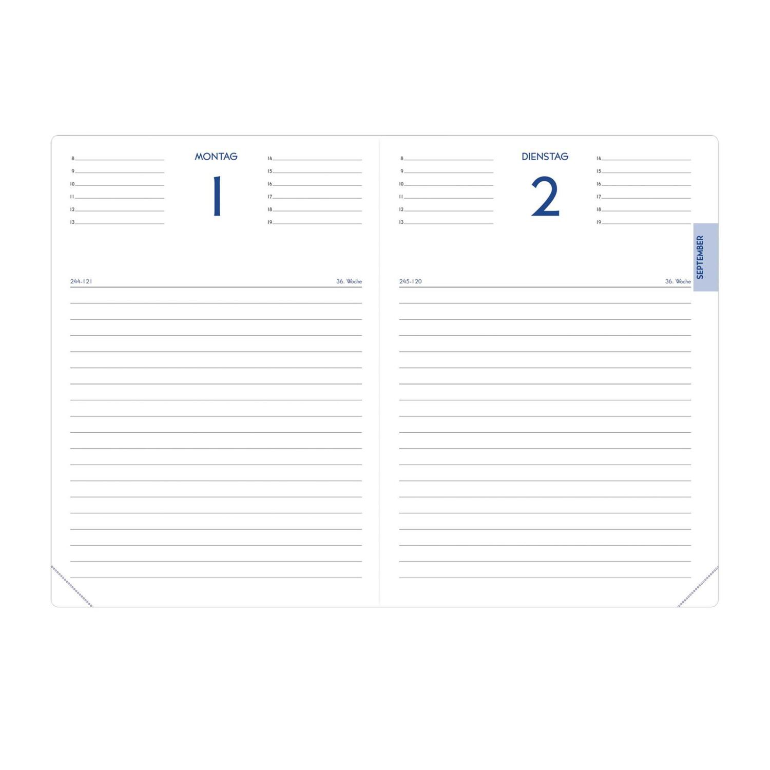 Bild: 3371010519590 | Schülerkalender C. Estrada Schlange 2024/2025 | Schülerkalender | Buch