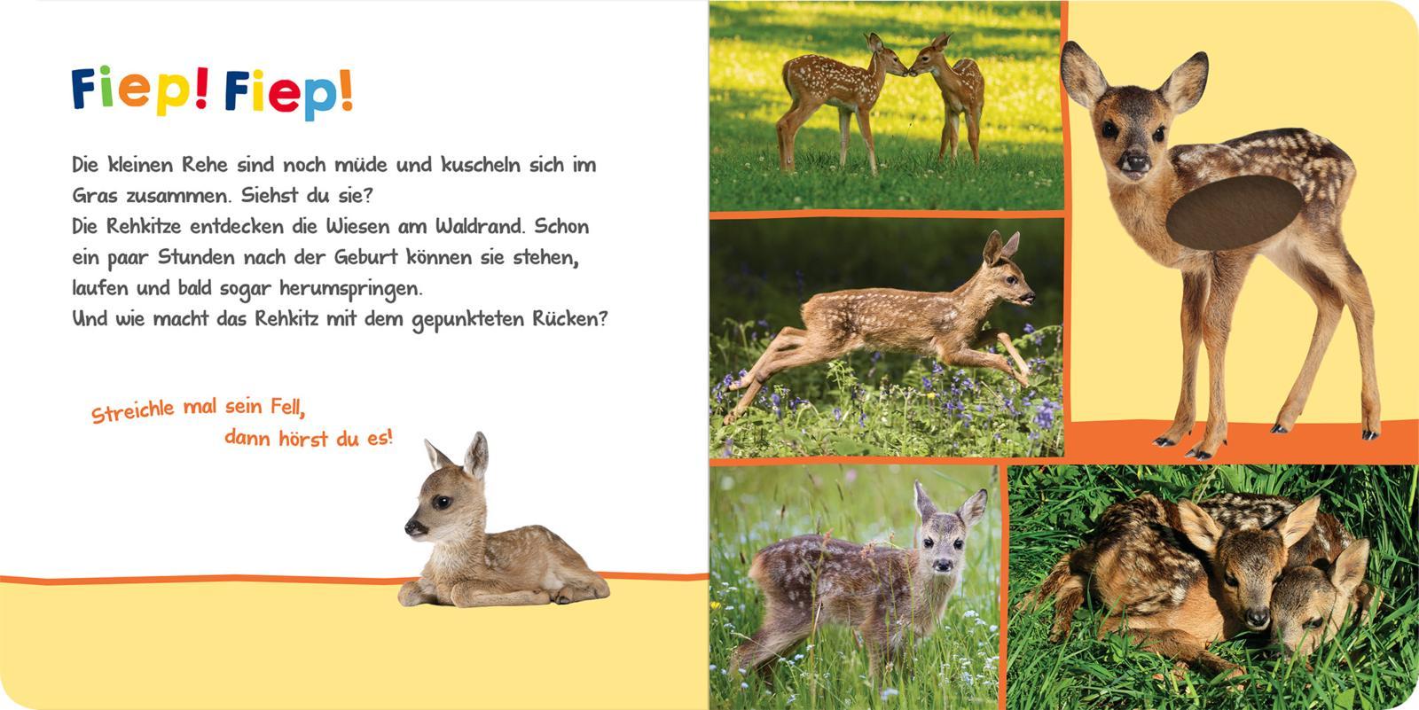 Bild: 9783845842905 | Hör mal rein, wer kann das sein? - Im Frühling | Buch | 12 S. | 2021