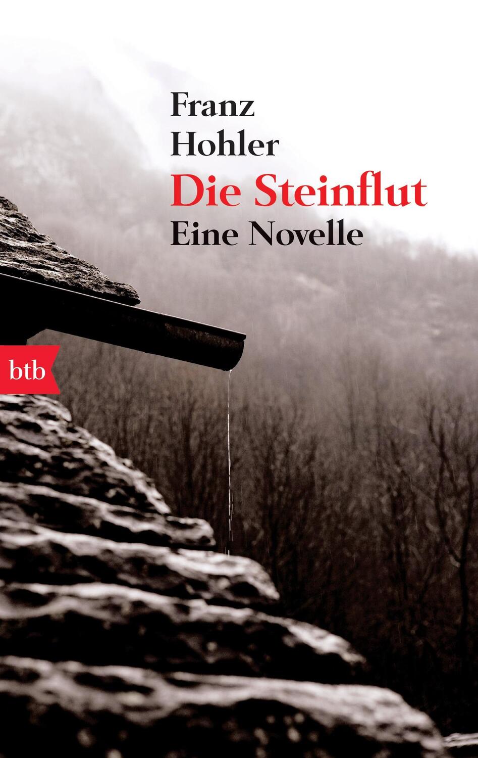 Cover: 9783442742691 | Die Steinflut | Eine Novelle | Franz Hohler | Taschenbuch | btb | 2011