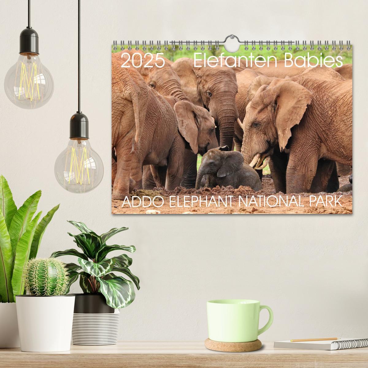 Bild: 9783435229093 | ADDO ELEPHANT NATIONAL PARK Elefanten Babies (Wandkalender 2025 DIN...