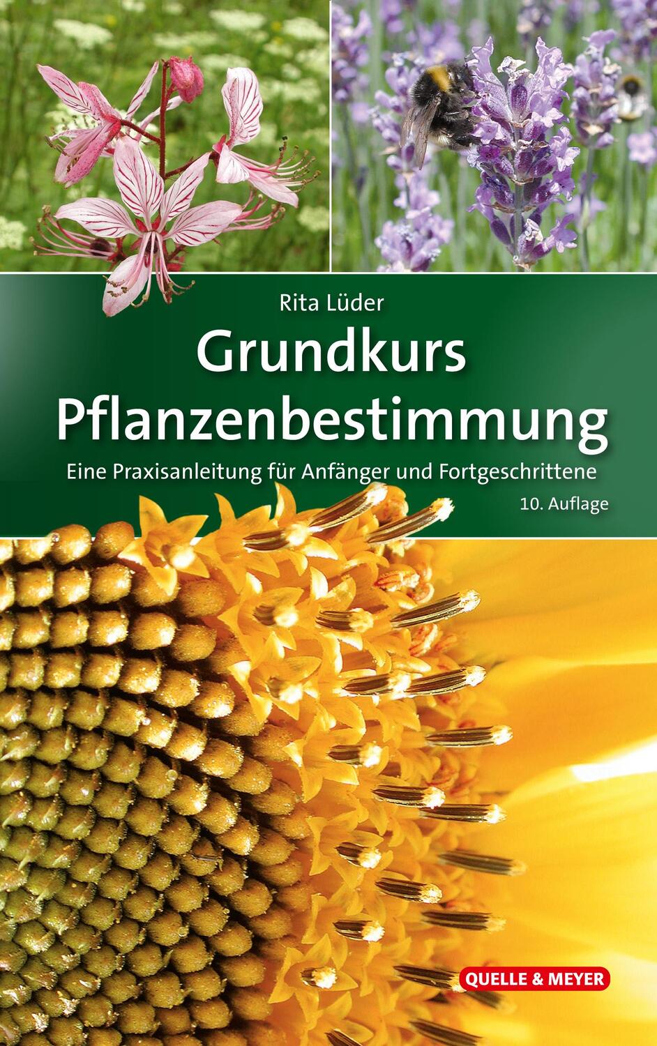 Cover: 9783494019383 | Grundkurs Pflanzenbestimmung | Rita Lüder | Buch | Deutsch | 2022