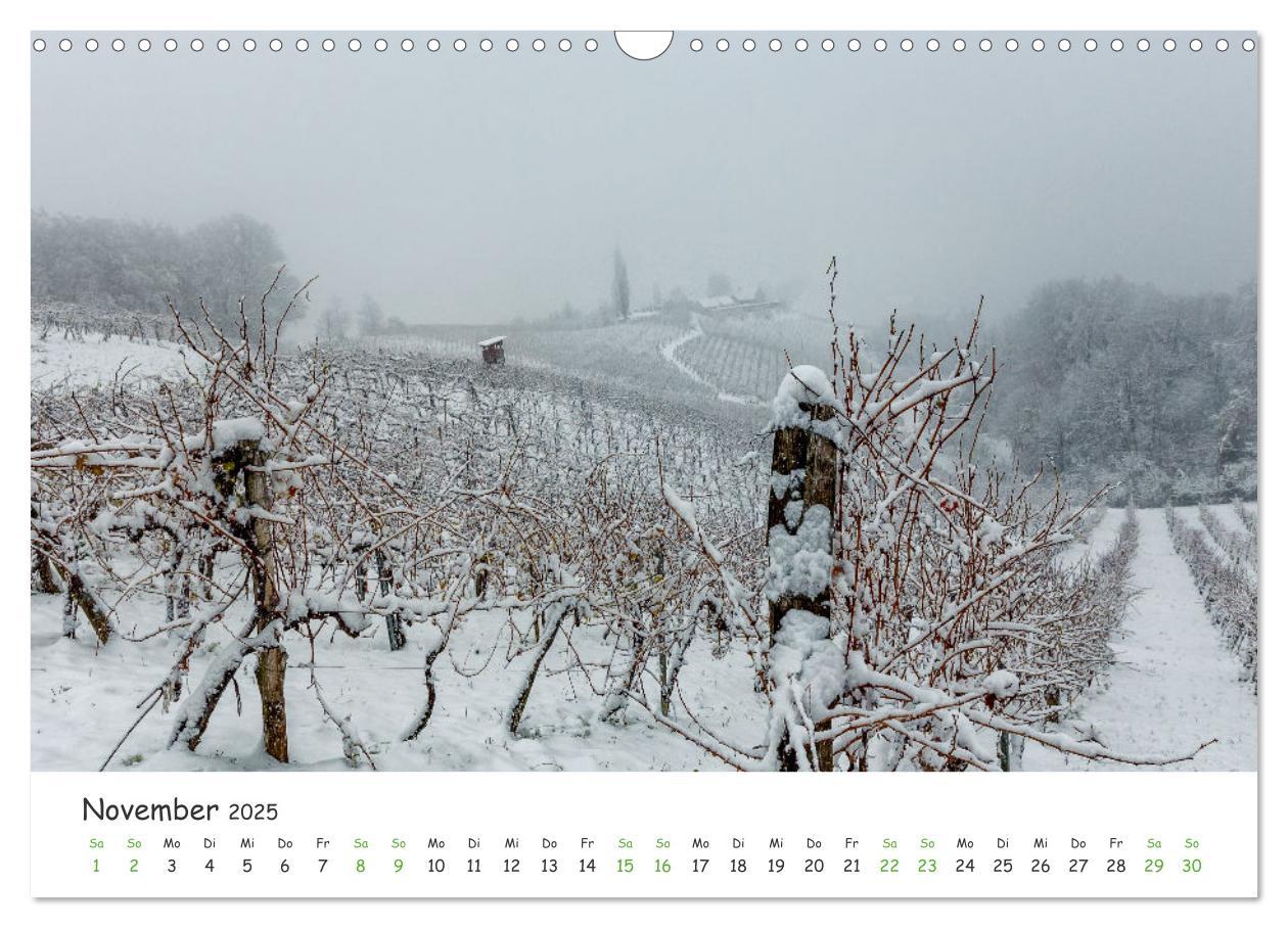 Bild: 9783435041954 | Südsteiermark365 (Wandkalender 2025 DIN A3 quer), CALVENDO...