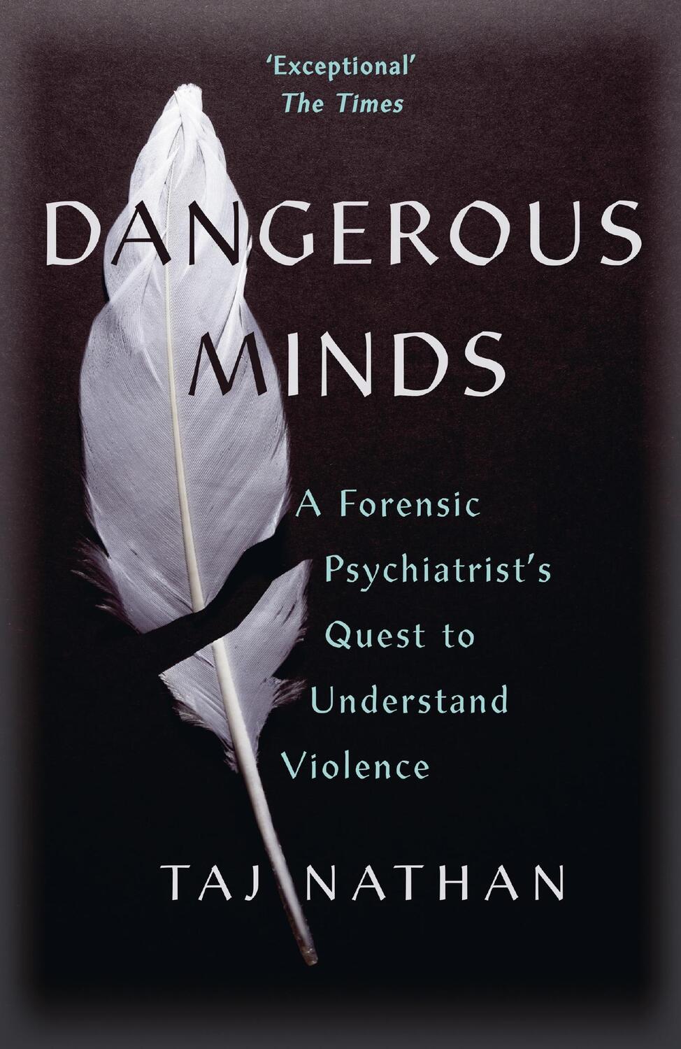 Cover: 9781529392937 | Dangerous Minds | Taj Nathan | Taschenbuch | Gebunden | Englisch