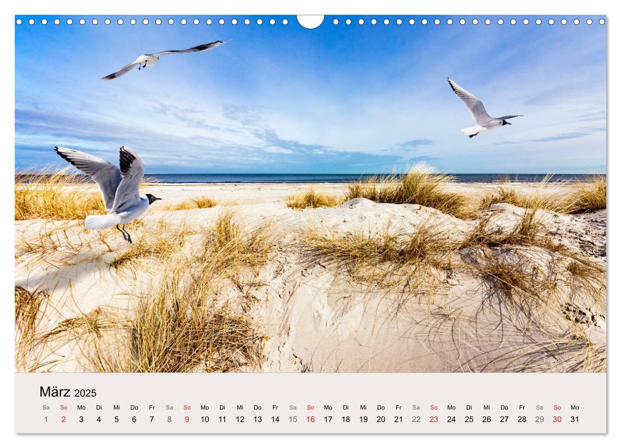 Bild: 9783435340224 | STRANDLUST: Fischland-Darß-Zingst (Wandkalender 2025 DIN A3 quer),...