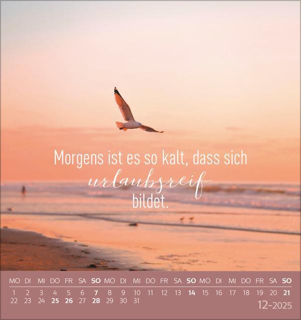 Bild: 9783731876359 | Urlaubsreif 2025 | aufstellbarer Postkartenkalender | Verlag Korsch