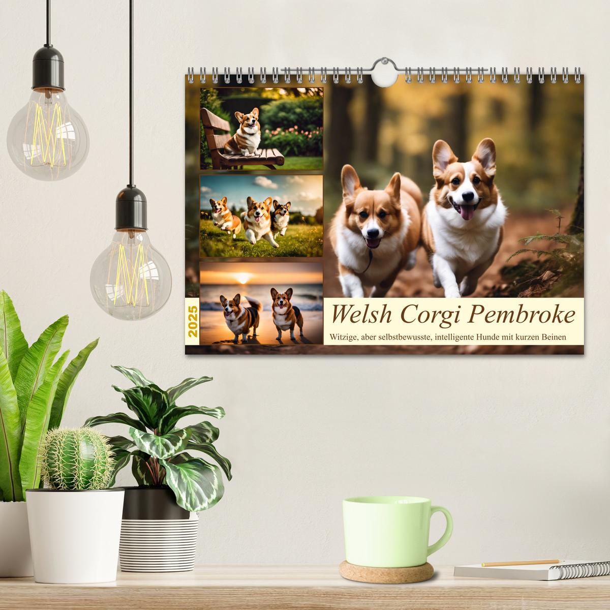 Bild: 9783435241026 | Welsh Corgi Pembroke (Wandkalender 2025 DIN A4 quer), CALVENDO...