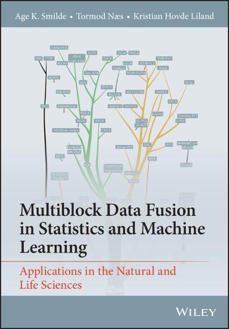 Cover: 9781119600961 | Multiblock Data Fusion in Statistics and Machine Learning | Buch