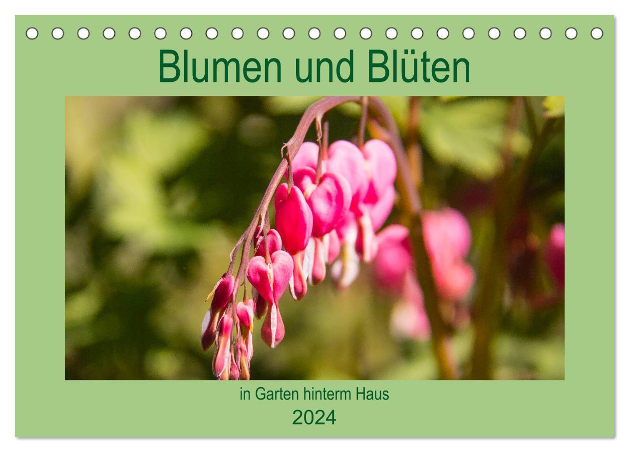 Cover: 9783675845985 | Blumen und Blüten im Garten hinterm Haus (Tischkalender 2024 DIN A5...