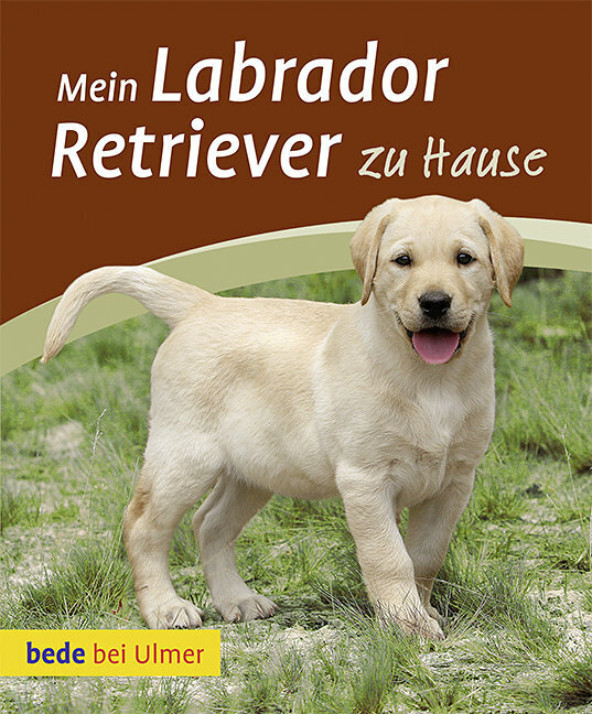 Cover: 9783800169771 | Mein Labrador Retriever zu Hause | Maike Harms | Taschenbuch | 2010