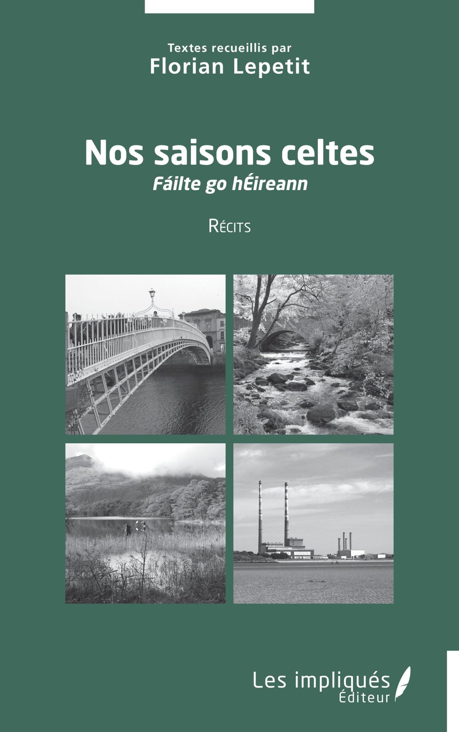 Cover: 9791042802363 | Nos saisons celtes | Fáilte go hÉireann | Florian Lepetit | Buch