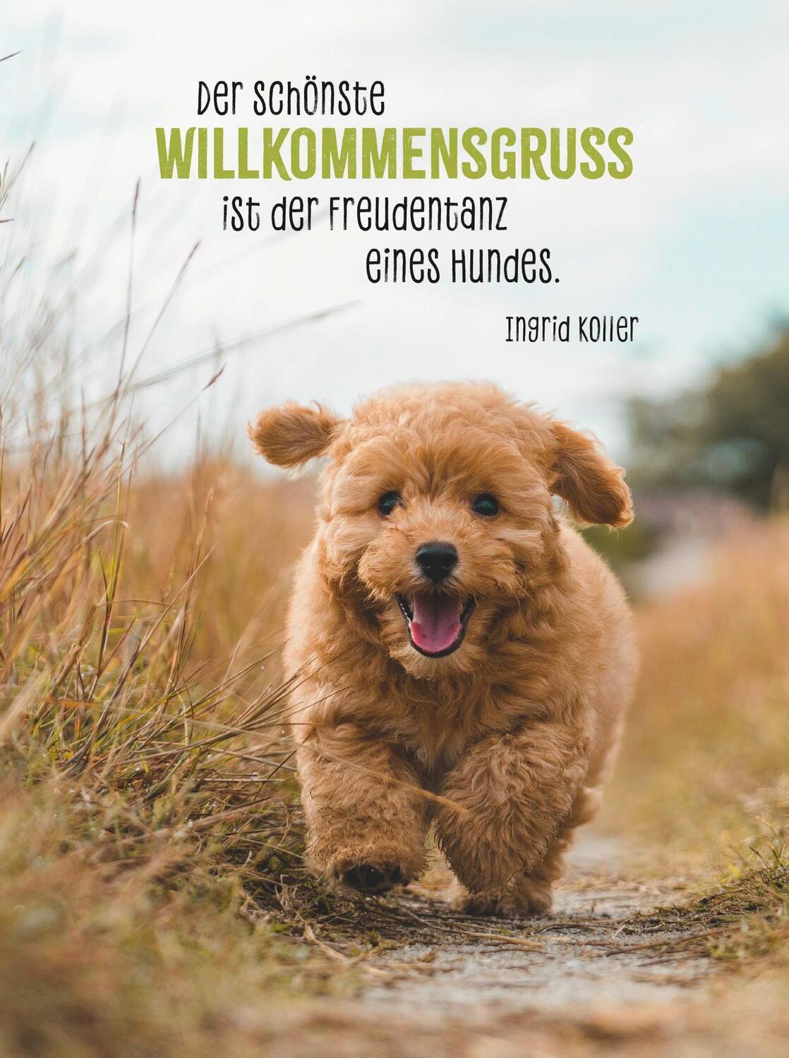 Bild: 9783848502349 | Hunde sind die besten Freunde | Groh Verlag | Taschenbuch | 48 S.