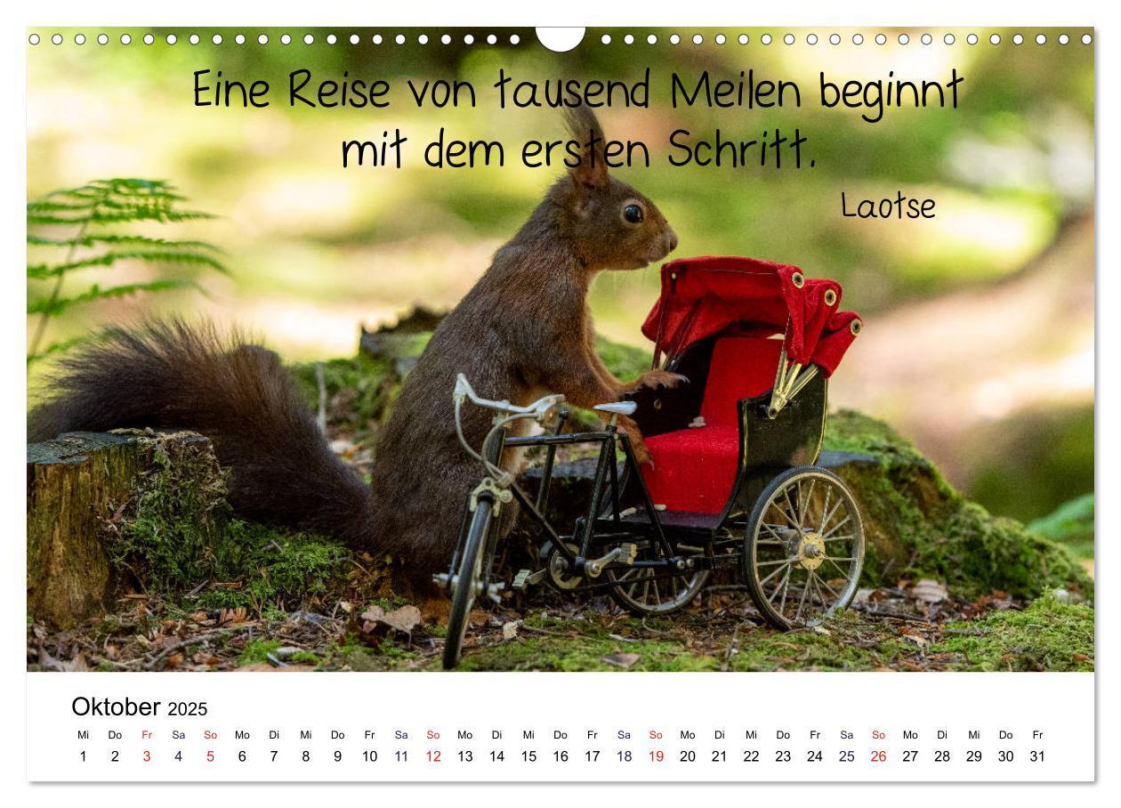 Bild: 9783435433926 | Der literarische Eichhörnchen-Kalender (Wandkalender 2025 DIN A3...