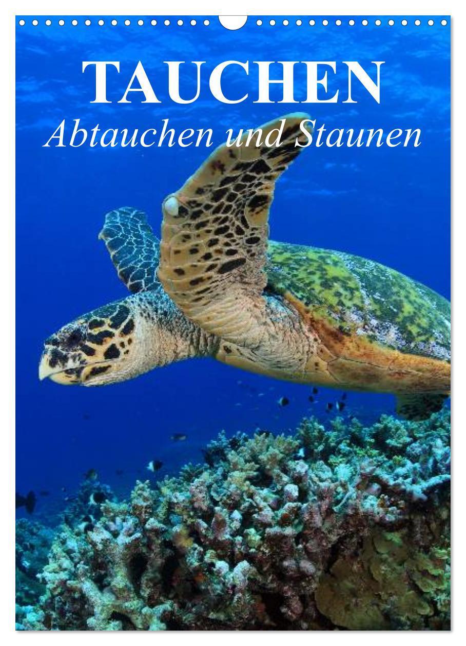 Cover: 9783383460531 | Tauchen - Abtauchen und Staunen (Wandkalender 2024 DIN A3 hoch),...