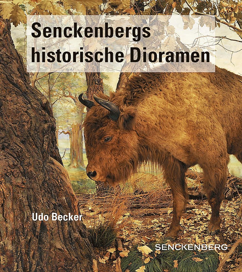 Cover: 9783510614172 | Senckenbergs historische Dioramen | Udo Becker | Taschenbuch | Deutsch